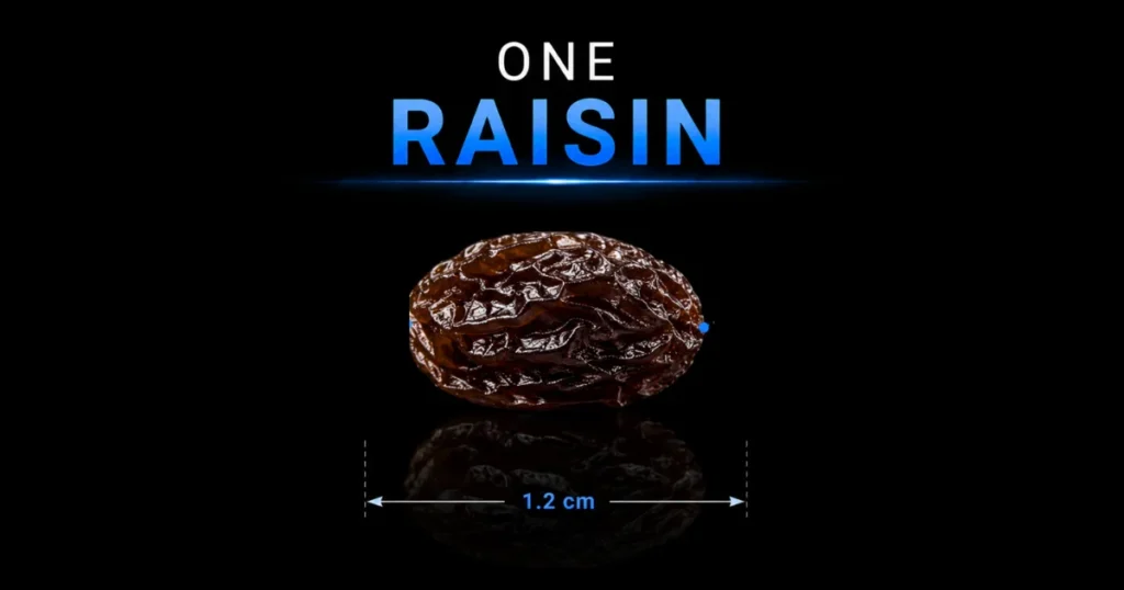 one-raisin