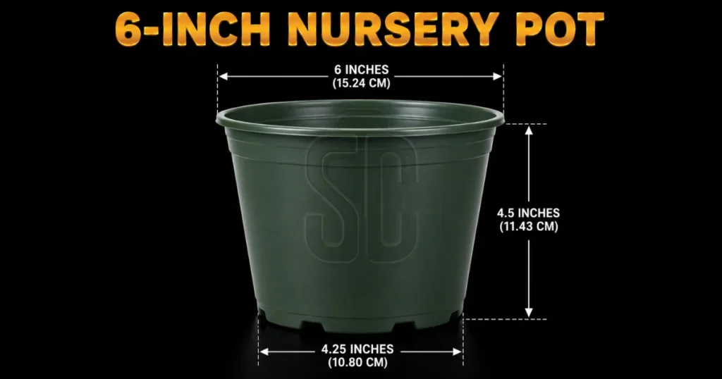 6-inch-nursery-pot