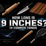 19-inches