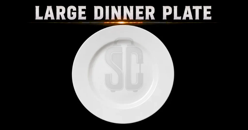 large-dinner-plate